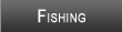 Lake Connie Fishing